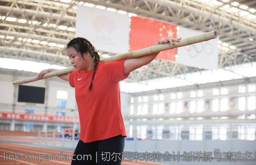 切尔西未来转会计划详解与清洗名单分析