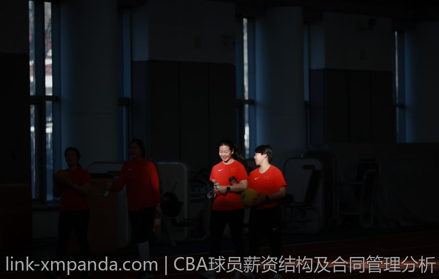 欧协联球队协作战略的先进案例研究