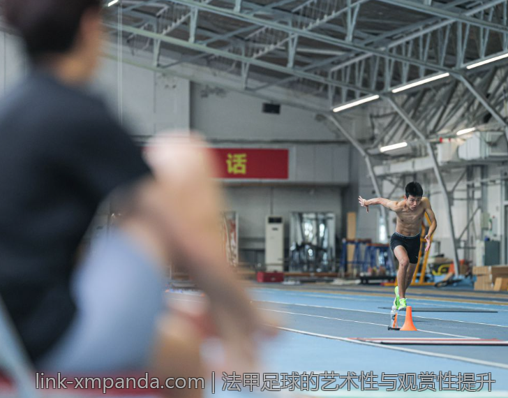 法甲足球的艺术性与观赏性提升