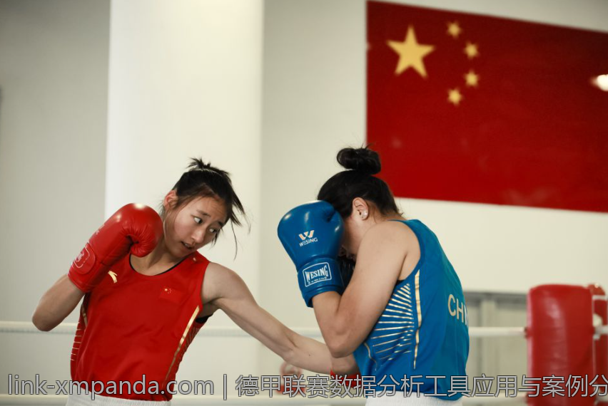 德甲联赛数据分析工具应用与案例分享