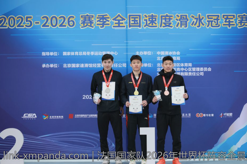 法国国家队2026年世界杯阵容全景解析